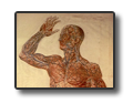 Medicina in Toscana