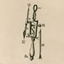 Plate depicting a botanical simple microscope