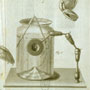Plate illustrating the operation of the simple aquatic microscope