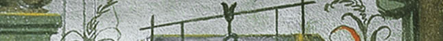 Banner Medicea Laurenziana