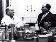 G.C. Trabacchi, direttore del Laboratorio di Fisica della Sanit (a sinistra), e L. Zanchi, amministratore dellIstituto di Fisica.
