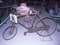 Bicicletta d...