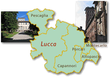 Lucca Plain